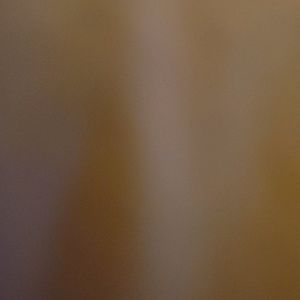 Meet your Posher, Valerie